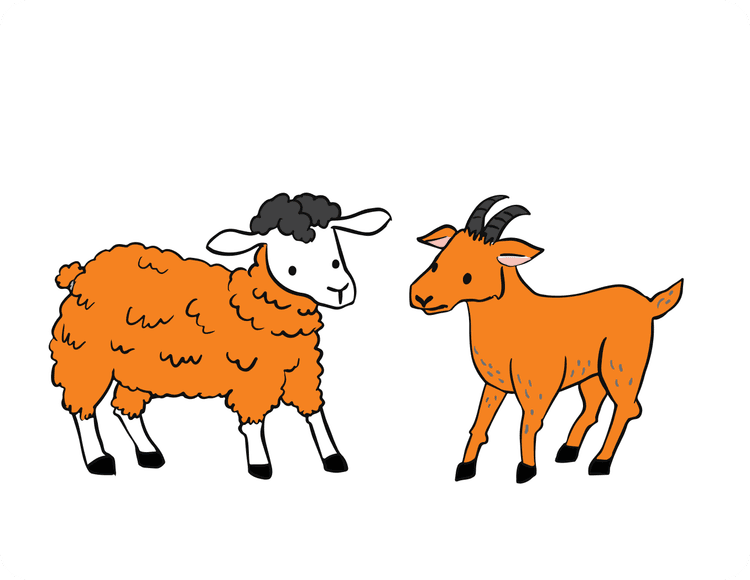 Sheep & Goat